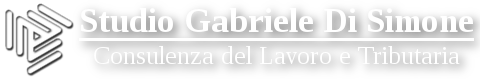Studio Commerciale Gabriele Di Simone Logo